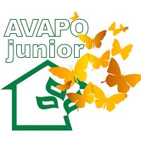 avapojunior1